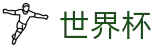国际足联世界杯_赛事管理 · 直播 · 比分公告